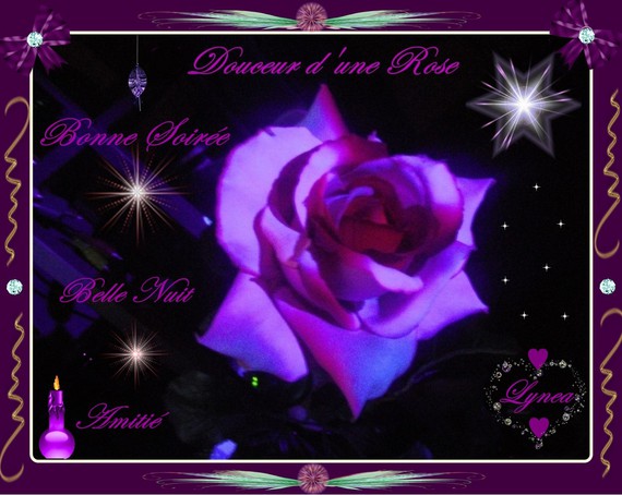bonsoir-bonne soirée-douce nuit-amitié-douceur d'une rose de lynea