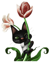chat fleur