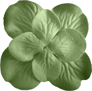 fleur verte grise