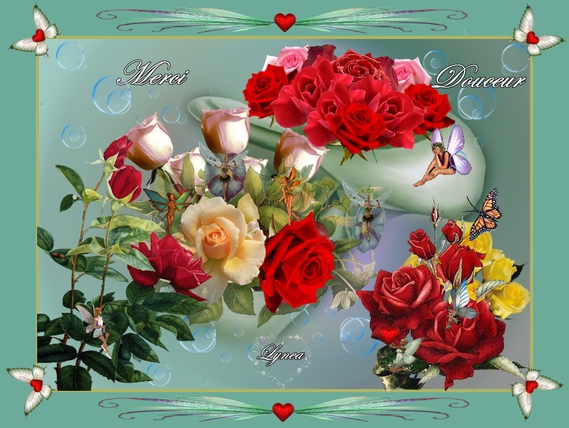 merci douceur roses fées de lynea