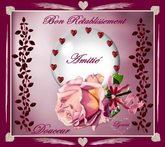 Bon rétablissement-amitié-douceur rose-lynea