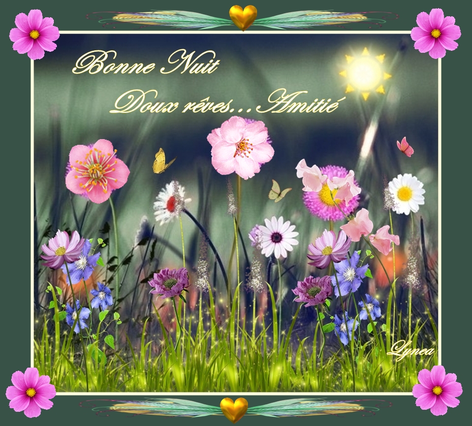 bonne nuit-doux rêves les fleurs de lynea - BONNE NUIT - lynea18 ...
