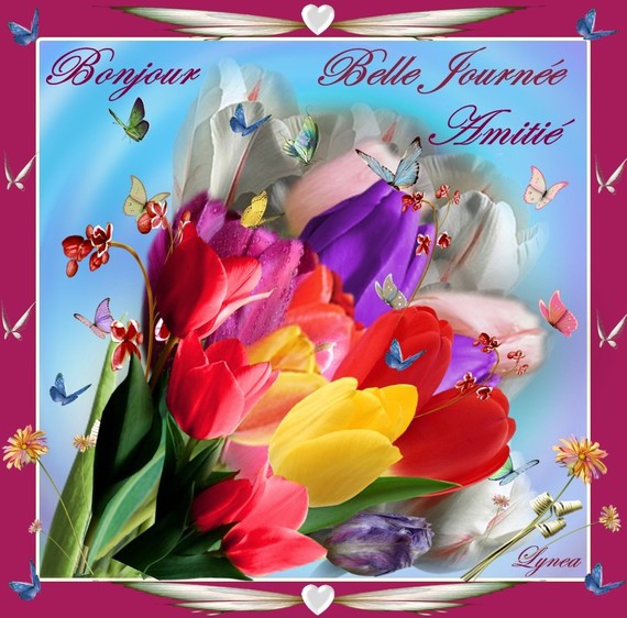 bonjour-belle journée-amitié tulipes de lynea