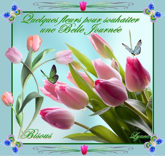 quelques fleurs pour souhaiter une belle journée-bisous tulipes de lynea