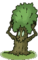 arbre drole