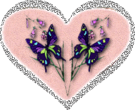 coeur rose papillons