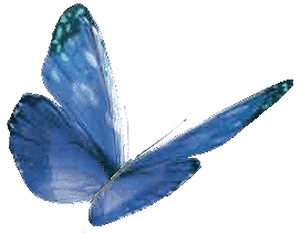 Bleu Qui Vole Papillons Lynea18 Photos Club Doctissimo Bleu Qui Vole Papillons Lynea18 Photos Club Doctissimo