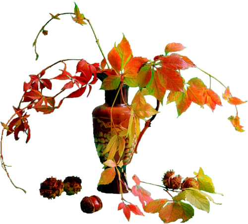 vase d'automnee