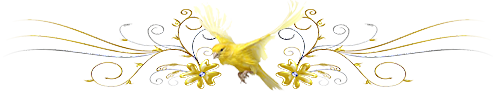 oiseau-jaune