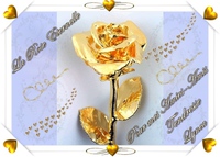 la rose éternelle dorée-pour mes amies-amis-lynea