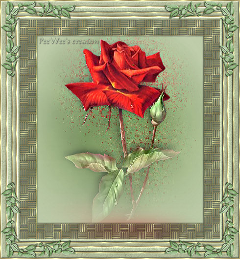 rose rouge tableau