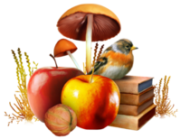 livres oiseau pommes