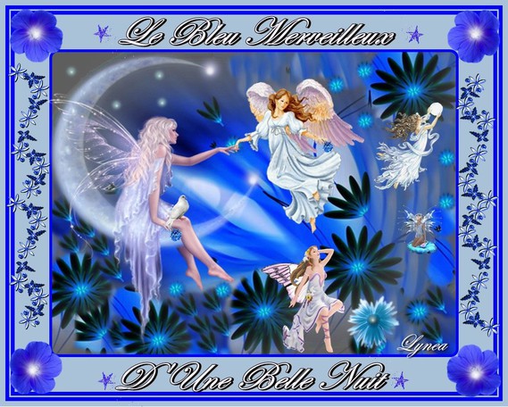 belle nuit-le bleu merveilleux-lynea