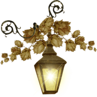 lanterne et feuilles de lière-