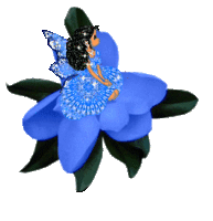 bleue fleur-+