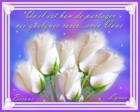 Qu'il est bon de partager ces quelques roses avec vous-Bisous de Lynea