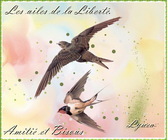 Les ailes de la Liberté-Amitié et Bisous de Lynea