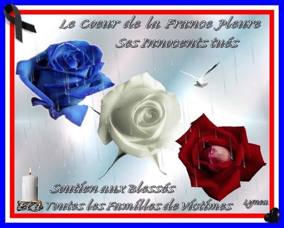 Le coeur de la France pleure-Soutient---Lynea