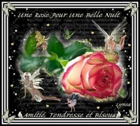 Belle Nuit- Une Rose---Amitié-Tendresse et bisous de Lynea