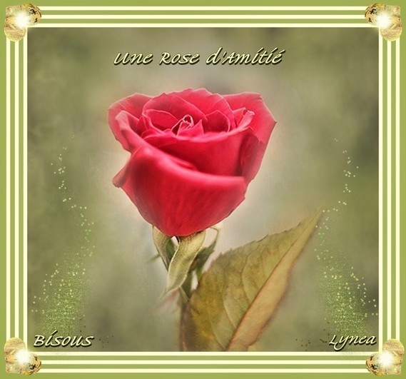 Une rose d'Amitié---Bisous de Lynea