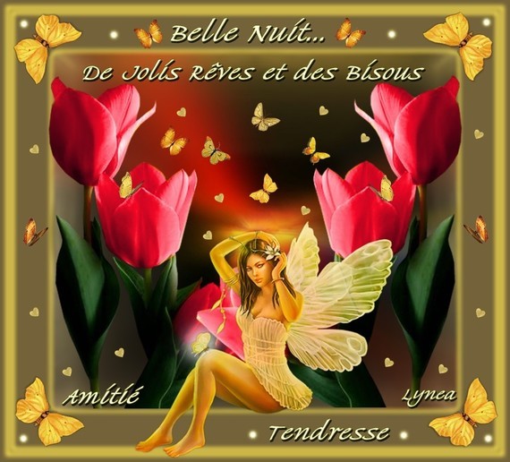 Belle nuit-Jolis Rêves-Bisous et Amitié -Tendresse de Lynea