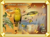 Bonne Semaine-Amitié et Bisous des oiseaux-Lynea