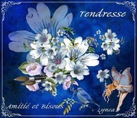 Tendresse-Amitié et Bisous de la fée-Lynea