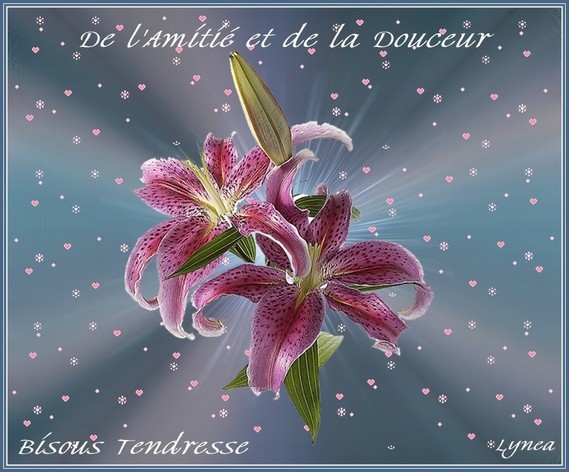De L Amitie Et De La Douceur Bisous Tendresse De Lynea Amitie Lynea18 Photos Club Doctissimo De L Amitie Et De La Douceur Bisous Tendresse De Lynea Amitie Lynea18 Photos Club Doctissimo