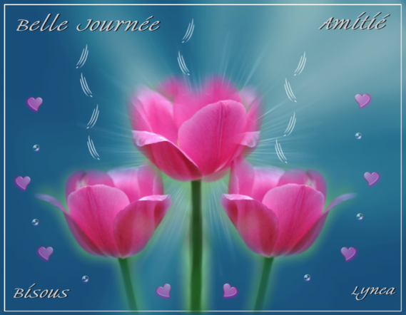 Belle Journée-Amitié-Bisous-les tulipes-Lynea