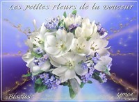 Les petites fleurs de la Douceur-Bisous de Lynea