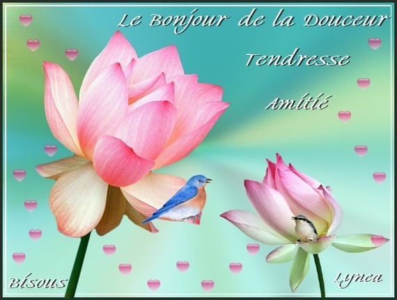 Bonjour De La Douceur Tendresse Amitie Bisous De Lynea Bonjour Lynea18 Photos Club Doctissimo Bonjour De La Douceur Tendresse Amitie Bisous De Lynea Bonjour Lynea18 Photos Club Doctissimo