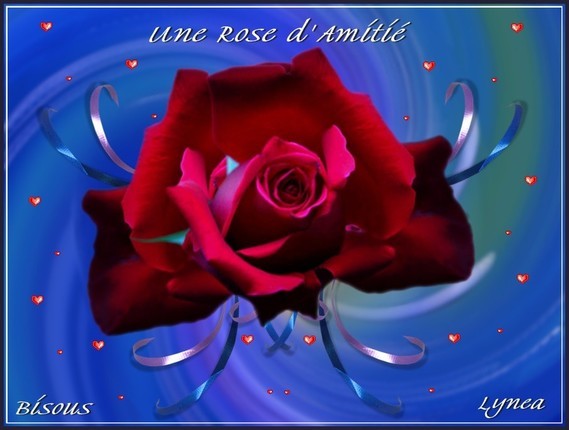 Uune rose d'amitié-bisous de Lynea-