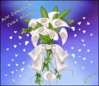 Bon Dimanche-Doux bisous de Lynea
