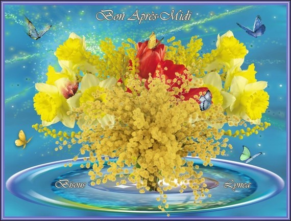 Résultat de recherche d'images pour "bisous mimosa"
