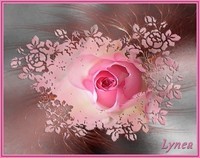 Lynea la rose rose