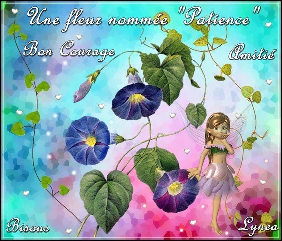 Bon courage fleur patience amitié bisous de Lynea