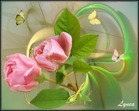 Roses papillons de Lynea