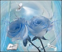 roses bleues amitié Lynea