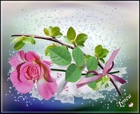 fleur rose de Lynea