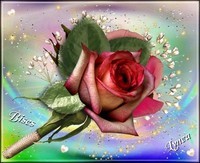rose rose de Lynea