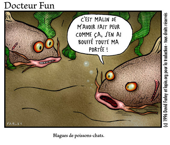 poissons-chats-blague