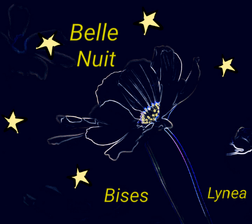 Belle nuit bisous Lynea