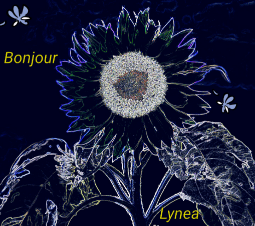 Bonjor Lynea--