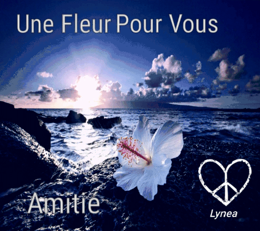 Une fleur pour Vous Lynea