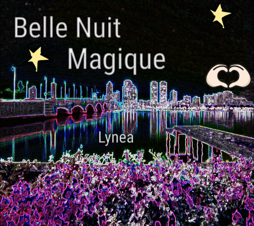 belle nuit magique lynea-