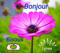 bonjour bisous coeur lynea