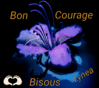bon courage bisous Lynea