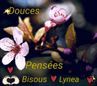 douces pensées bisous - Lynea