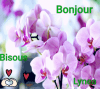 bonjour bisous fleuri Lynea