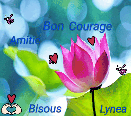 Bon courage bisouss Lynea